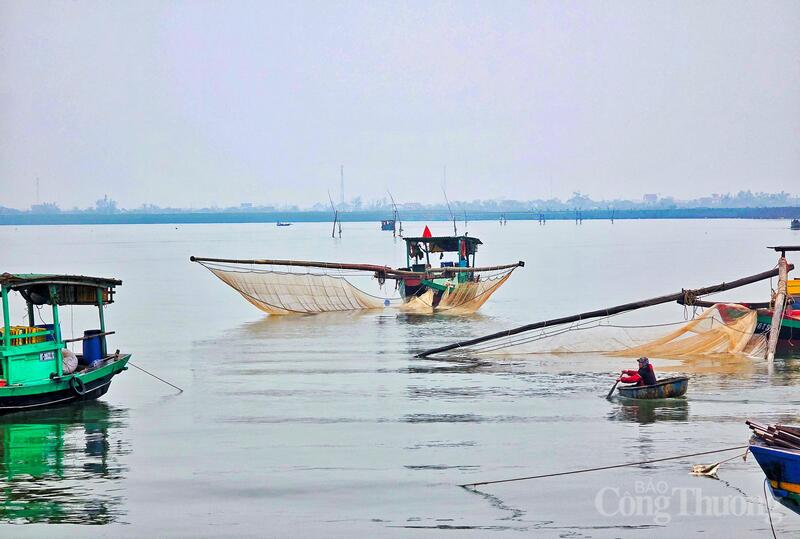 Những con tàu vươn khơi, những chuyến xe chở hải sản nối đuôi nhau rời cảng, tất cả đều mang theo hy vọng về một năm kinh tế biển phát triển mạnh mẽ.