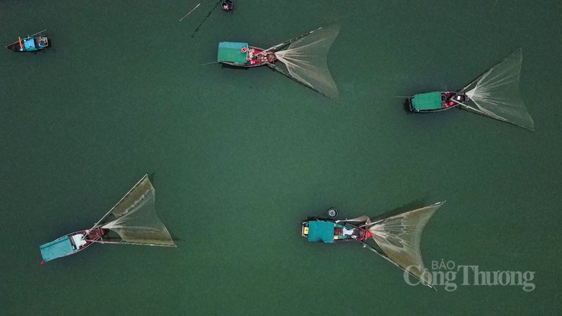 Những con tàu sau khi "tiếp nhiên liệu" và chuẩn bị đầy đủ đá lạnh, lương thực lại chuẩn bị cho chuyến vươn khơi mới.