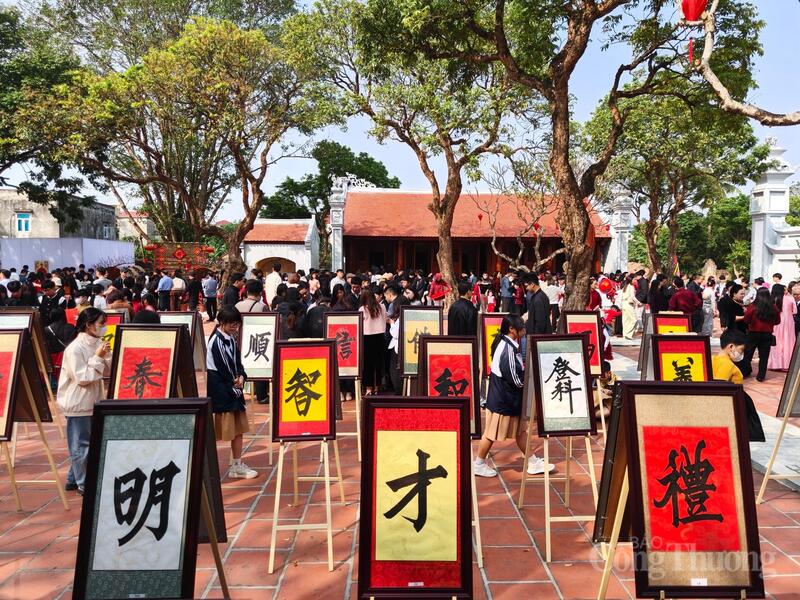 Các tác phẩm thư pháp được trưng bày trang trọng.