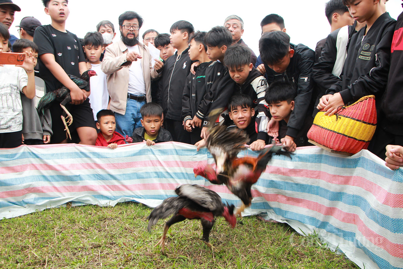 Khai hội chùa Hương Tích ở Hà Tĩnh - 8