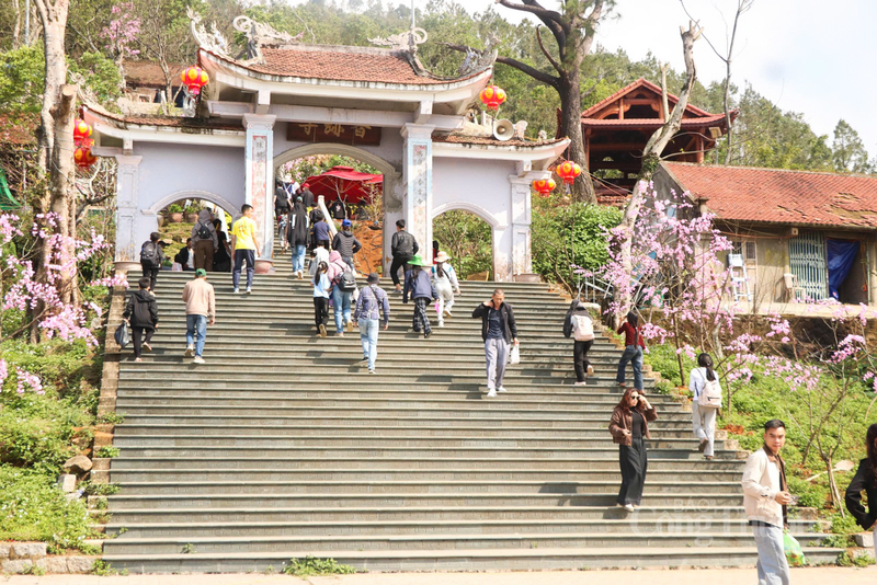 Chùa Hương Tích nằm ở độ cao 650m so với mặt nước biển, tọa lạc trên dãy Hồng Lĩnh thuộc xã Can Lộc, tỉnh Hà Tĩnh.