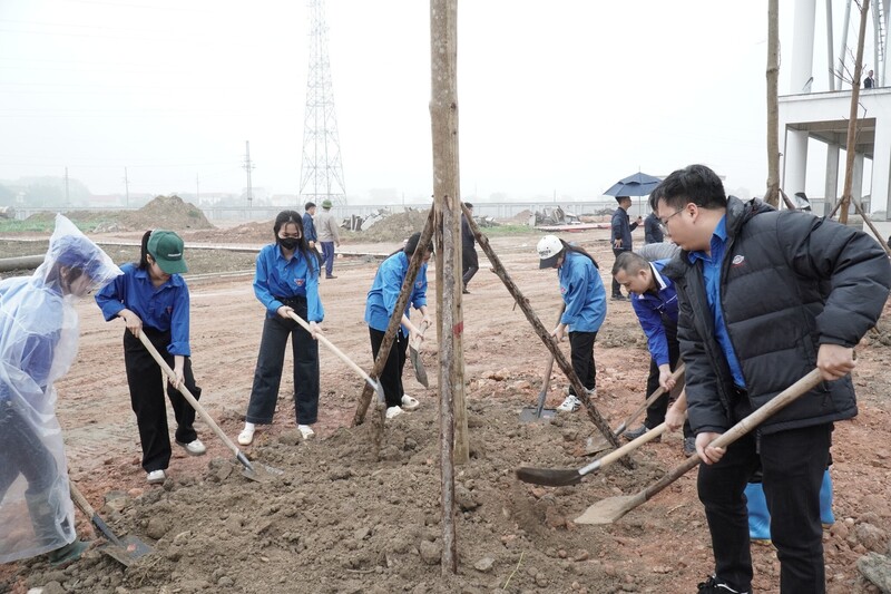 Các em học sinh, sinh viên cùng tham gia trồng cây tại xã Trung Giã. Ảnh: Ánh Dương