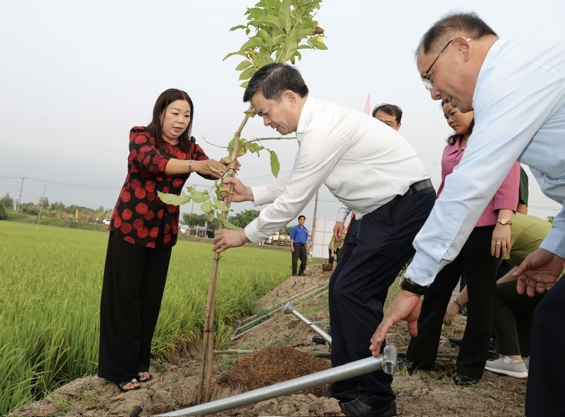 Lãnh đạo TP. Cần Thơ trồng cây lan tỏa thông điệp phát triển xanh.