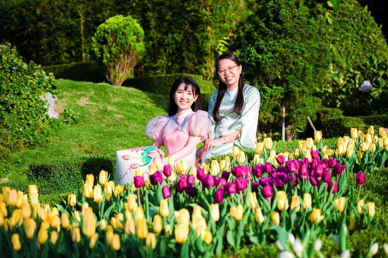 Du khách check-in tại vườn hoa tulip trên núi Bà Đen