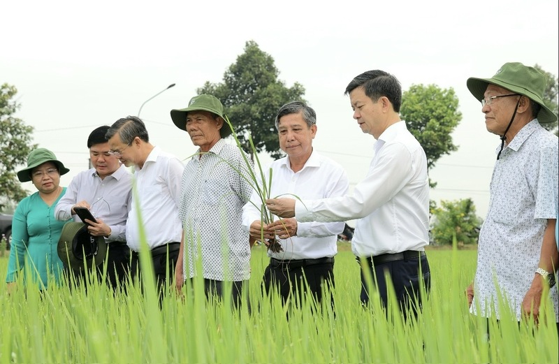 Lãnh đạo TP. Cần Thơ thăm đồng đầu năm.