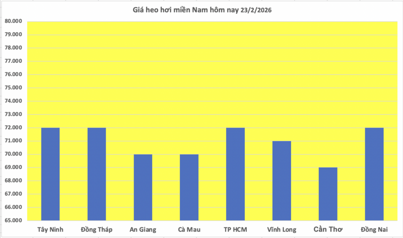 Giá heo hơi hôm nay 23/2/2026: Giảm nhẹ vài nơi - 3