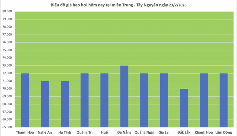 Giá heo hơi hôm nay 23/2/2026: Giảm nhẹ vài nơi - 2