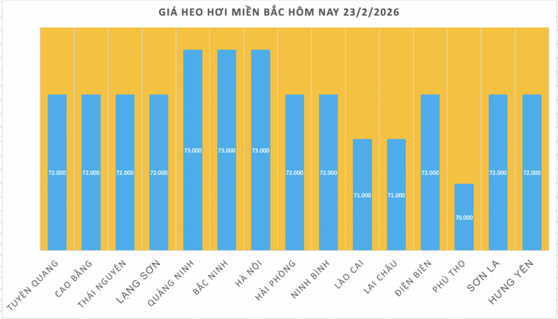 Giá heo hơi hôm nay 23/2/2026: Giảm nhẹ vài nơi - 1