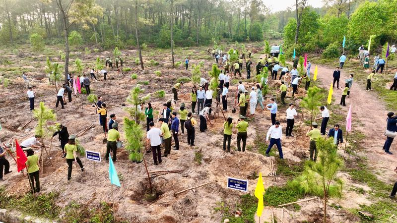 Đông đảo sở, ban, ngành, địa phương tham gia Tết trồng cây đời đời nhớ ơn Bác Hồ xuân Bính Ngọ năm 2026. Ảnh: M. Hiếu