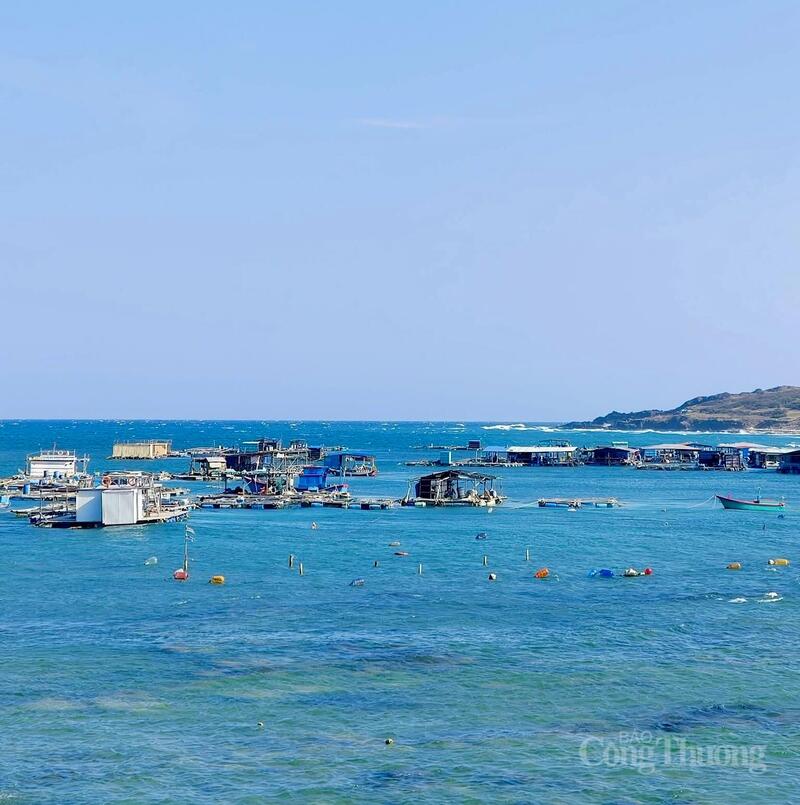 Lâm Đồng tăng cường kiểm soát tàu cá ngoài khơi. Ảnh: Minh An