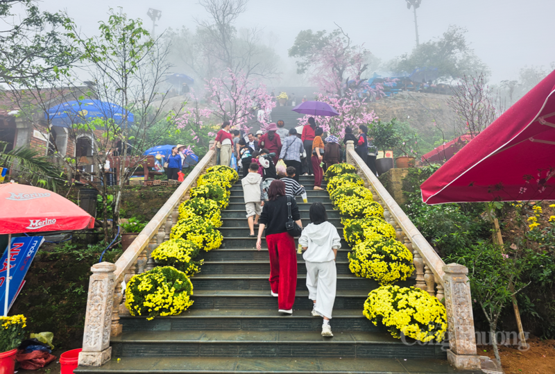 Chen chân sờ tượng hổ cầu bình an ở ‘Hoan châu đệ nhất danh lam’ - 8