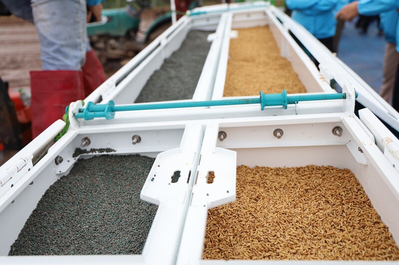 Công nghệ cơ giới hóa gieo sạ hàng kết hợp vùi phân giúp bà con nông dân giảm chi phí nhân công lao động. Ảnh: Kiều Tâm