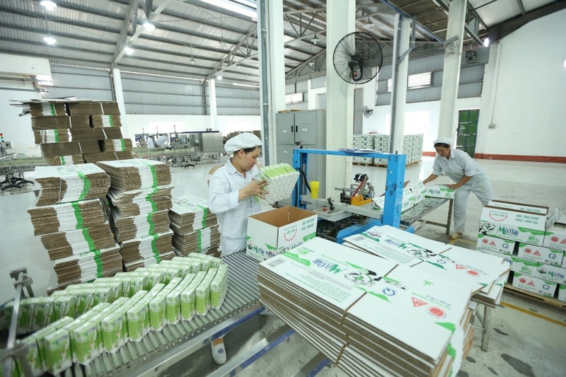 Liên minh châu Âu ngày càng ưu tiên các sản phẩm xanh hóa. Ảnh: Hùng Anh