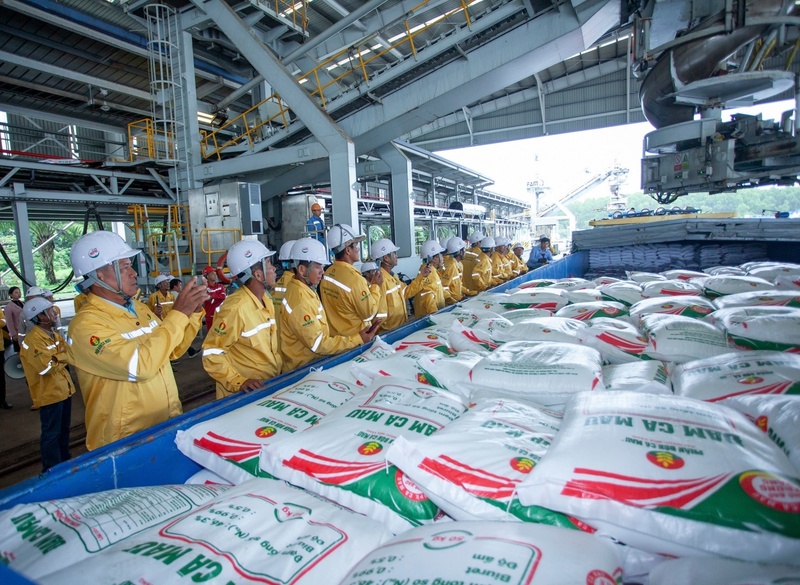 Phân bón Cà Mau mở rộng thị trường bằng chất lượng đạt chuẩn quốc tế.