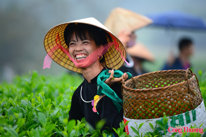 Giữa không gian lịch sử của khu ATK Định Hóa, hoạt động lao động thường nhật bỗng trở thành lễ hội. Người xem không chỉ cảm nhận được nhịp sống nông nghiệp, mà còn thấy rõ niềm tự hào của người dân về cây chè, cây kinh tế chủ lực đã gắn bó với vùng đất này bao đời. Hội thi hái chè xuân vì thế không đơn thuần là một sự kiện, mà là lời nhắc về giá trị truyền thống, về sự giao hòa giữa lịch sử, văn hóa và lao động hôm nay.