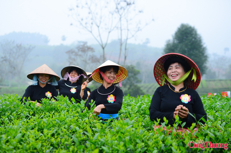 Hội thi vì thế không chỉ là cuộc so tài về tốc độ, mà còn là dịp tôn vinh sự tinh tế của nghề trồng và chế biến chè.