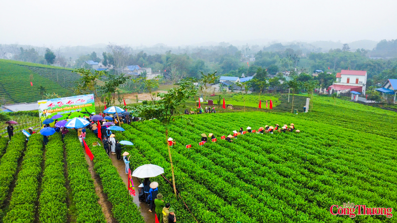 Mỗi độ xuân về, trên quê hương cách mạng ATK Định Hoá (xã Phú Đình, tỉnh Thái Nguyên hôm nay) đất trời như bừng lên sức sống mới. Người dân Phú Đình trong trang phục truyền thống nô nức trẩy hội hái chè truyền thống.
