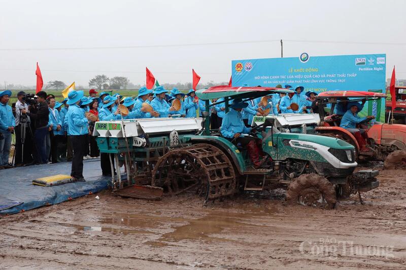 Lúa phát thải thấp mở hướng tái định hình sản xuất tại Đồng bằng sông Hồng. Ảnh: Kiều Tâm