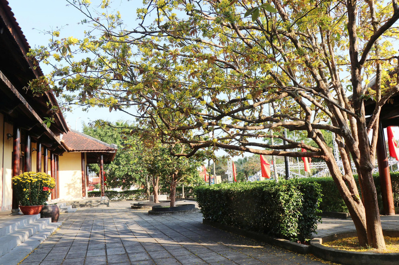 Trong khuôn viên khu lưu niệm, nhiều cây lưu niệm do các đồng chí lãnh đạo Đảng, Nhà nước, cán bộ, học sinh, sinh viên trồng từ nhiều năm trước nay đã vươn cao. Ảnh: Nguyễn Dương