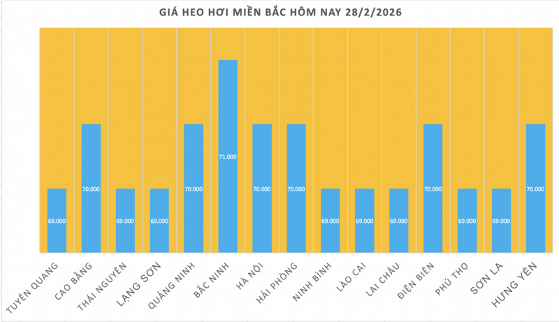 Giá heo hơi hôm nay 28/2/2026: Giảm đồng loạt tại miền Bắc - 1
