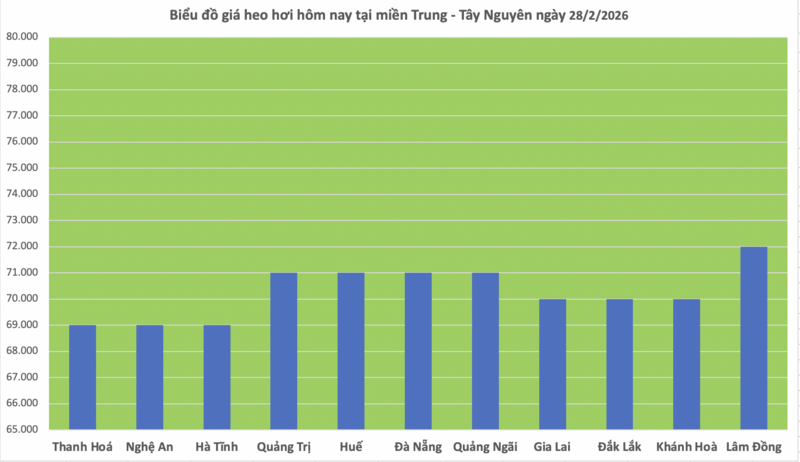 Giá heo hơi hôm nay 28/2/2026: Giảm đồng loạt tại miền Bắc - 2