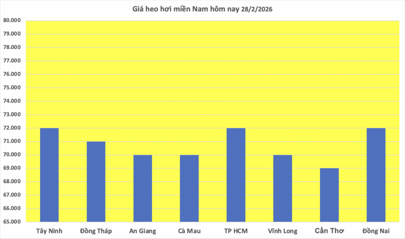 Giá heo hơi hôm nay 28/2/2026: Giảm đồng loạt tại miền Bắc - 3