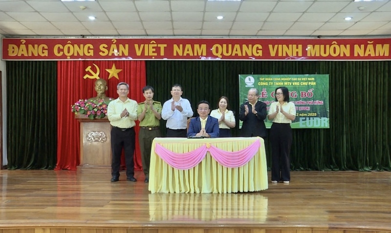 Công ty TNHH một thành viên Cao su Chư Păh công bố các sản phẩm cao su đáp ứng tiêu chuẩn EUDR. Ảnh: ĐVCC