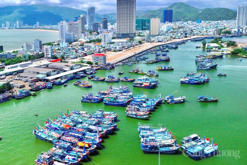 Tàu thuyền neo đậu tại khu vực cảng Quy Nhơn. Ảnh: Hiền Mai