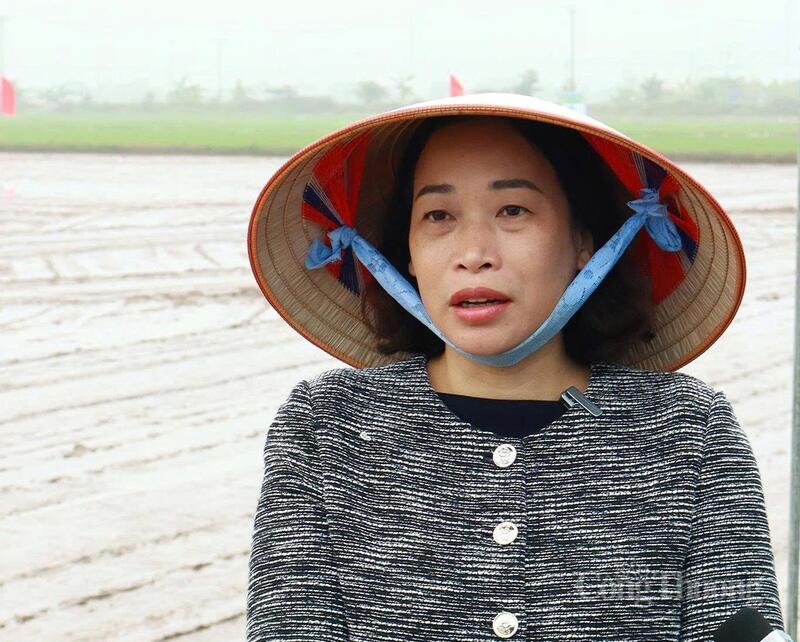 Bà Lương Thị Kiểm, Phó Giám đốc Sở Nông nghiệp và Môi trường Hải Phòng. Ảnh: N.H