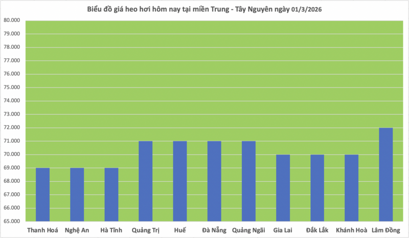 Giá heo hơi hôm nay 01/3/2026: Chững lại phiên cuối tuần - 2
