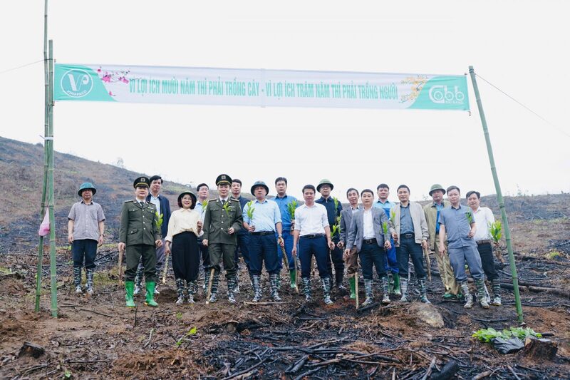 Lãnh đạo, cán bộ công nhân viên và đoàn viên thanh niên tham gia trồng cây đầu Xuân Bính Ngọ 2026 tại khu vực sản xuất Giấy Bãi Bằng.