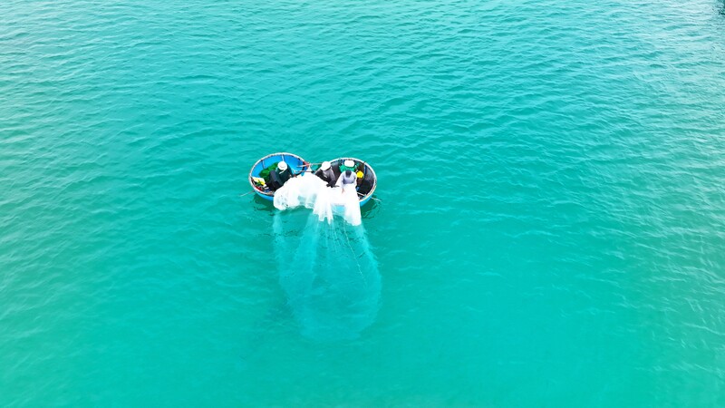 Trong khi đó, tại các làng chài bãi ngang ven biển biển Châu Tân, thuộc thôn Châu Me (xã Đông Sơn) lại rộn ràng vào mùa ruốc (tép biển). Ảnh: Nguyễn Dương