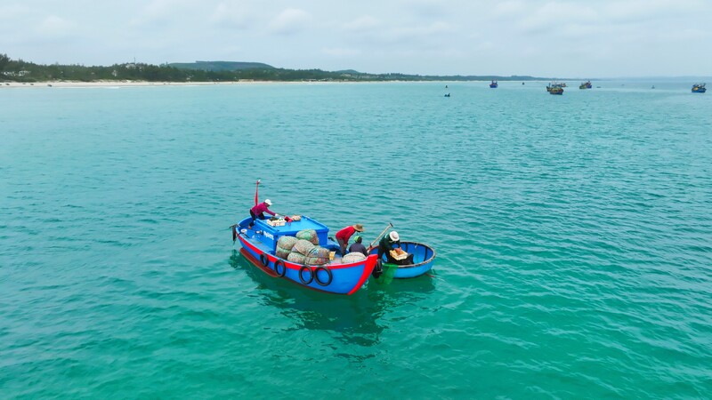 Tàu của tiểu thương ra tận nơi để thu mua ruốc. Ảnh: Nguyễn Dương