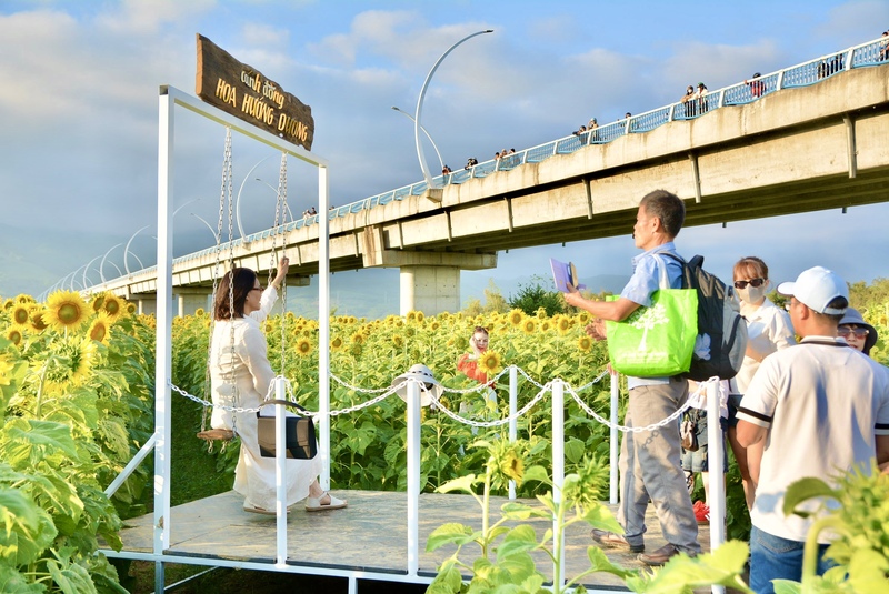 Không gian cánh đồng hoa bố trí thêm các cụm tiểu cảnh như: bậc thang vô cực, xích đu gỗ, giá vẽ tranh... phục vụ nhu cầu check-in, đa dạng hoá trải nghiệm của du khách. Ảnh: Ngọc Thảo