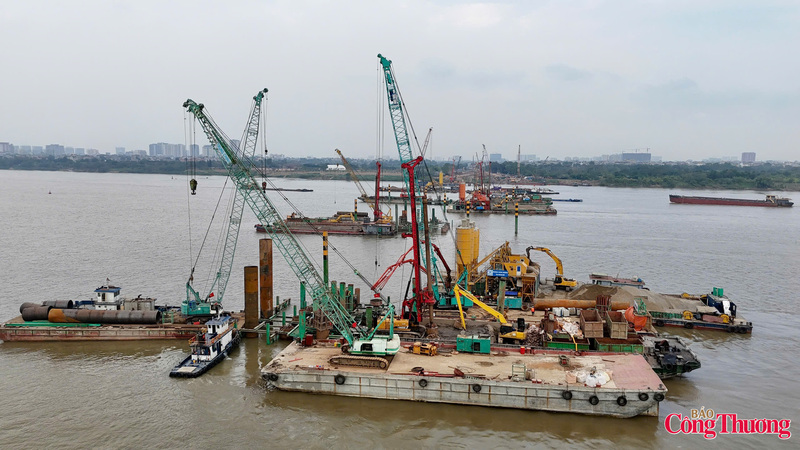 Theo Phó chủ tịch UBND thành phố Hà Nội Dương Đức Tuấn, cầu Trần Hưng Đạo là một trong 18 cây cầu vượt sông Hồng được quy hoạch, có ý nghĩa quan trọng trong việc thúc đẩy quá trình đô thị hóa khu vực, tạo tiền đề thực hiện chủ trương giãn dân, giảm tải cho đô thị trung tâm. Công trình phù hợp với định hướng phát triển của Thủ đô, góp phần kết nối các trục giao thông hai bờ sông Hồng, giảm áp lực cho cầu Chương Dương và Vĩnh Tuy.