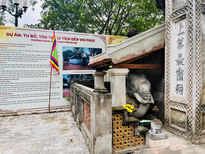 Trước cổng Đền Voi Phục, đôi voi đá quỳ lặng lẽ, rêu phong bám dày, chứng nhân của bao mùa xuân đi qua đất kinh kỳ.