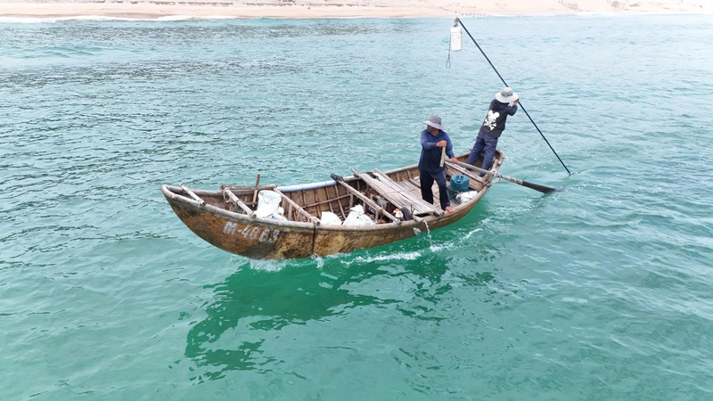 Mỗi thuyền có từ 2-3 người để cào ốc gạo. Ảnh: Nguyễn Dương