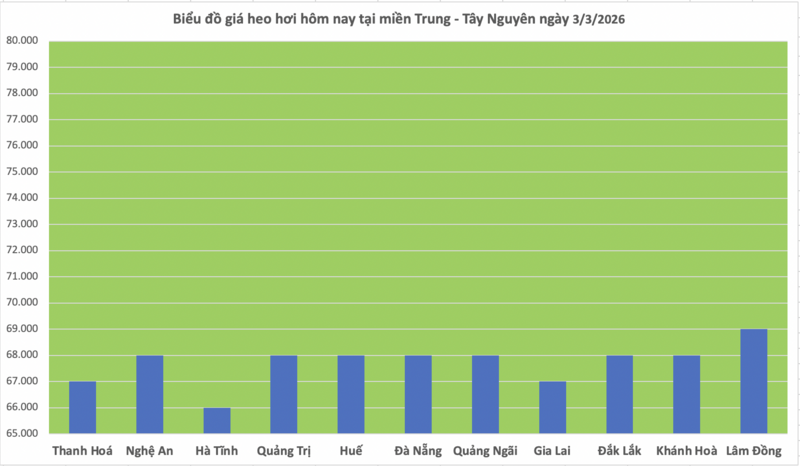 Giá heo hơi hôm nay 3/3/2026: Giảm sâu đồng loạt - 2