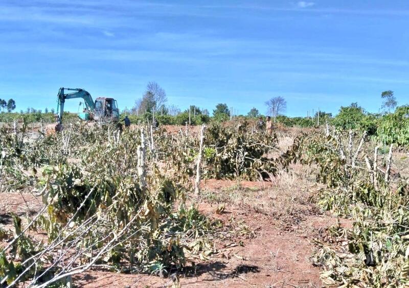 Giải phóng mặt bằng phục vụ thi công Dự án thành phần 3 cao tốc Quy Nhơn - Pleiku.