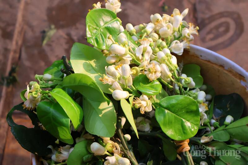 Người dân Thủ đô tất bật sắm lễ trong ngày rằm tháng Giêng - 8