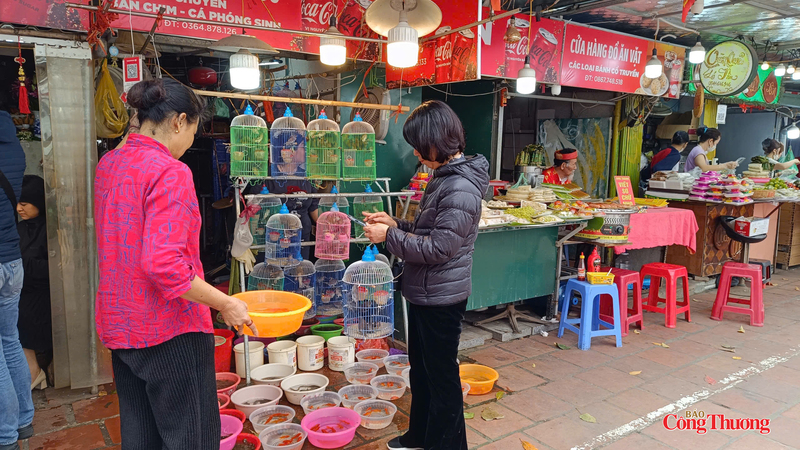 Nhiều người dân mua chim, cá để phóng sinh cầu may mắn, bình an trong năm mới.