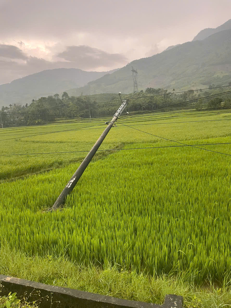 Các trụ điện trung thế cũng bị giông lốc quật ngã đổ. Ảnh: UBND xã Ba Vì