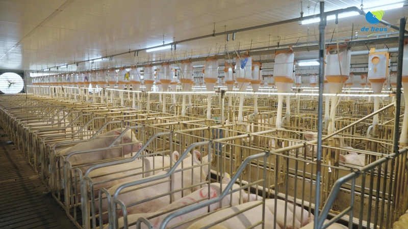 Thông qua hợp tác chặt chẽ với nông dân, hệ thống đại lý và các đối tác chiến lược, De Heus không ngừng mở rộng đầu tư vào chuỗi giá trị nông nghiệp – thực phẩm của Việt Nam.