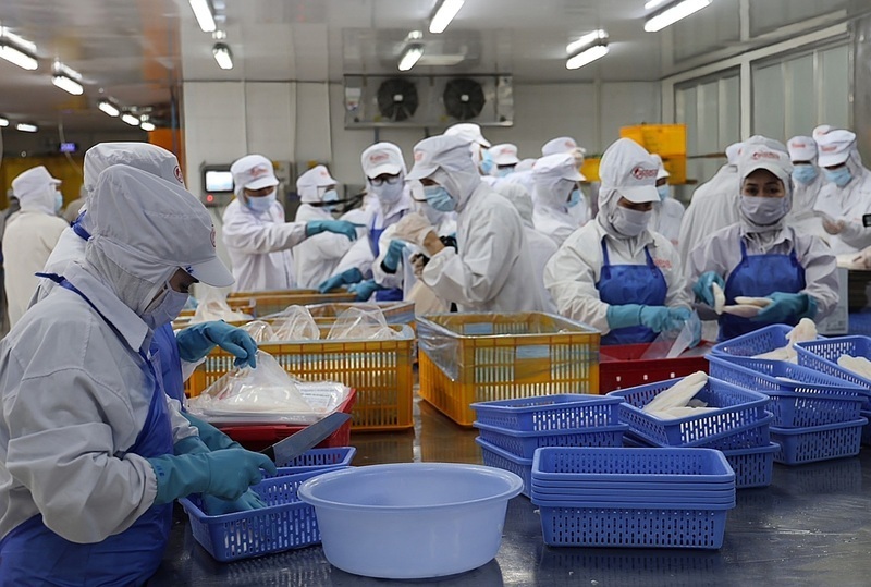 Trong tháng 2 năm 2026, ngành công nghiệp chế biến thủy sản tiếp tục là điểm sáng, đạt 54.000 tấn, tăng 12,7% so với cùng kỳ năm trước. Ảnh: Thanh Minh.