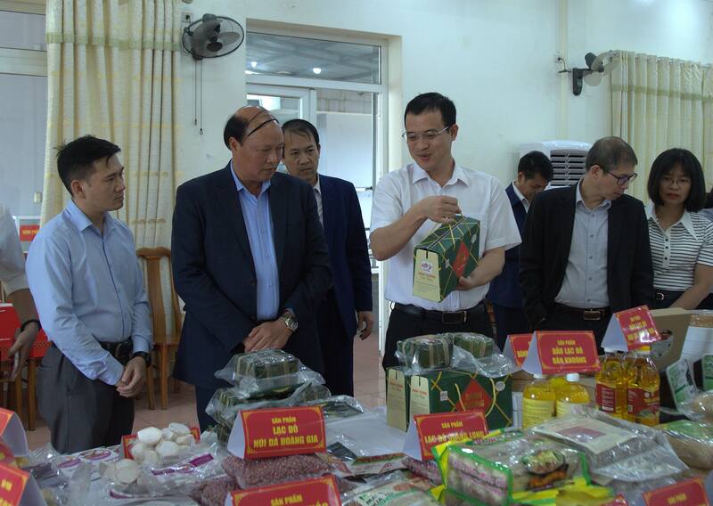 Hội đồng đánh giá, phân hạng sản phẩm OCOP tỉnh Cao Bằng tiến hành xem xét, đánh giá các sản phẩm thuộc Chương trình OCOP của địa phương. Ảnh: Dương Liễu