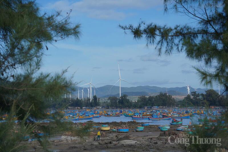 Dự án điện gió tại khu vực Bình Thuận. Ảnh: Minh An