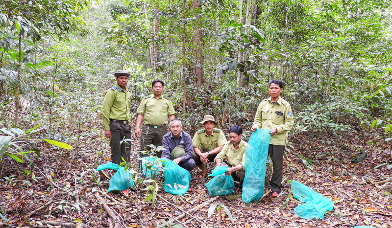 17 cá thể động vật quý hiếm được thả về môi trường tự nhiên. Ảnh: ĐVCC