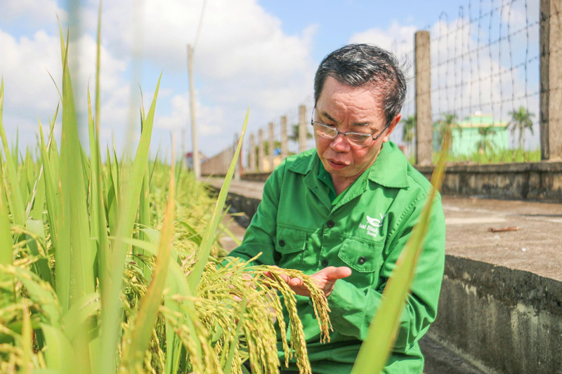 Anh hùng Lao động Trần Mạnh Báo - Chủ tịch HĐQT Công ty cổ phần Tập đoàn ThaiBinh Seed.