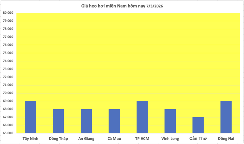 Giá heo hơi hôm nay 7/3/2026: Tiếp tục giảm rải rác - 3