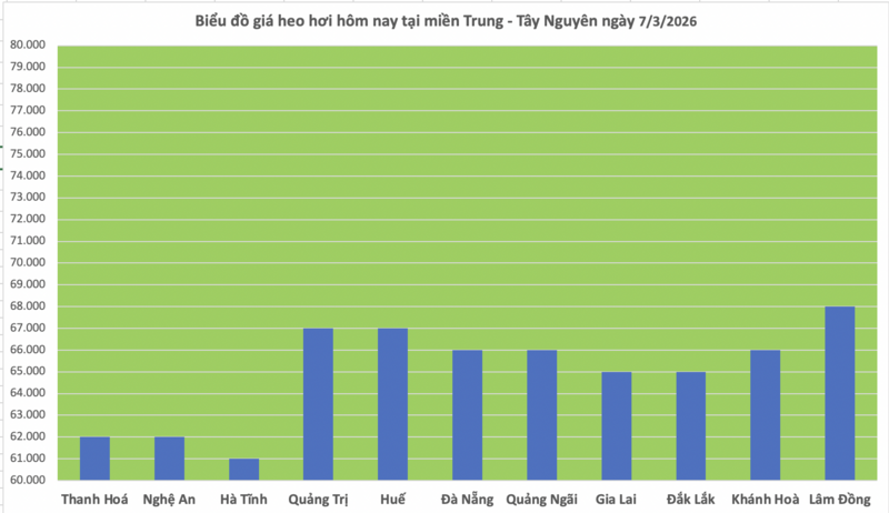 Giá heo hơi hôm nay 7/3/2026: Tiếp tục giảm rải rác - 2